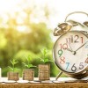 سرمایه‌گذاری غیرمستقیم