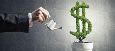زمانی برای رویش مجدد ?