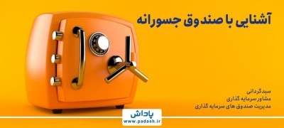 آشنایی با صندوق جسورانه