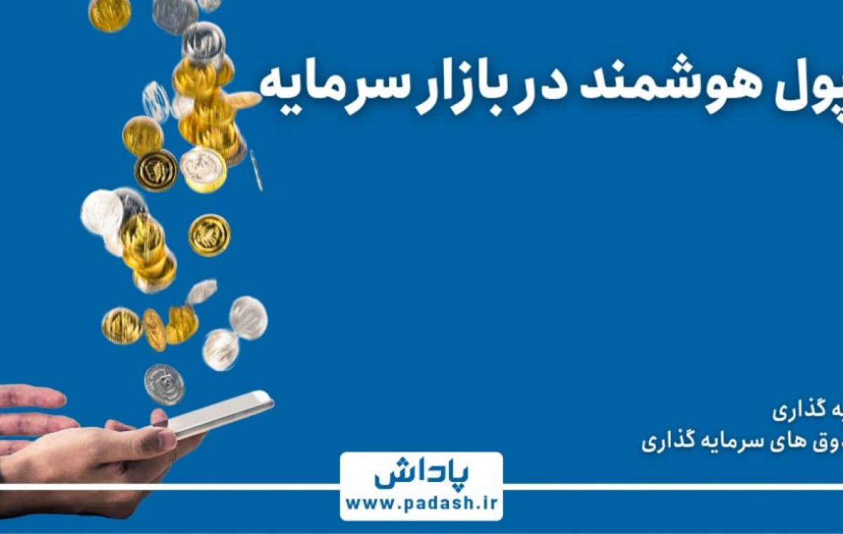 گام یازدهم آموزش ; تاثیر پول هوشمند در بازار سرمایه
