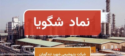 تحلیل نمودار نماد شگویا